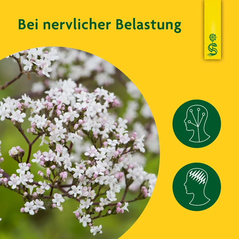 Shopapotheke Schoenenberger® Naturreiner Heilpflanzensaft Baldrian
