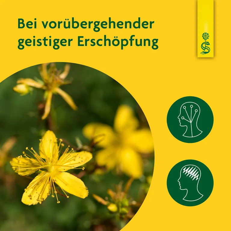 Shopapotheke Schoenenberger® Naturreiner Heilpflanzensaft Johanniskraut
