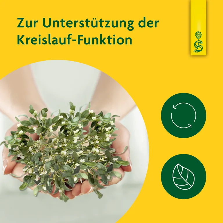 Shopapotheke Schoenenberger® Naturreiner Heilpflanzensaft Mistel