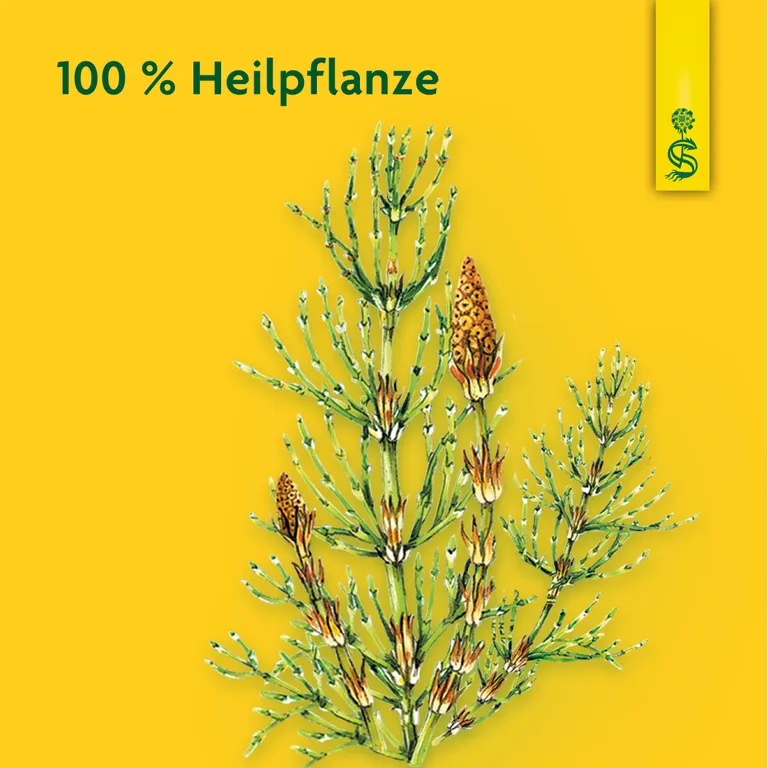 Shopapotheke Schoenenberger® Naturreiner Heilpflanzensaft Zinnkraut