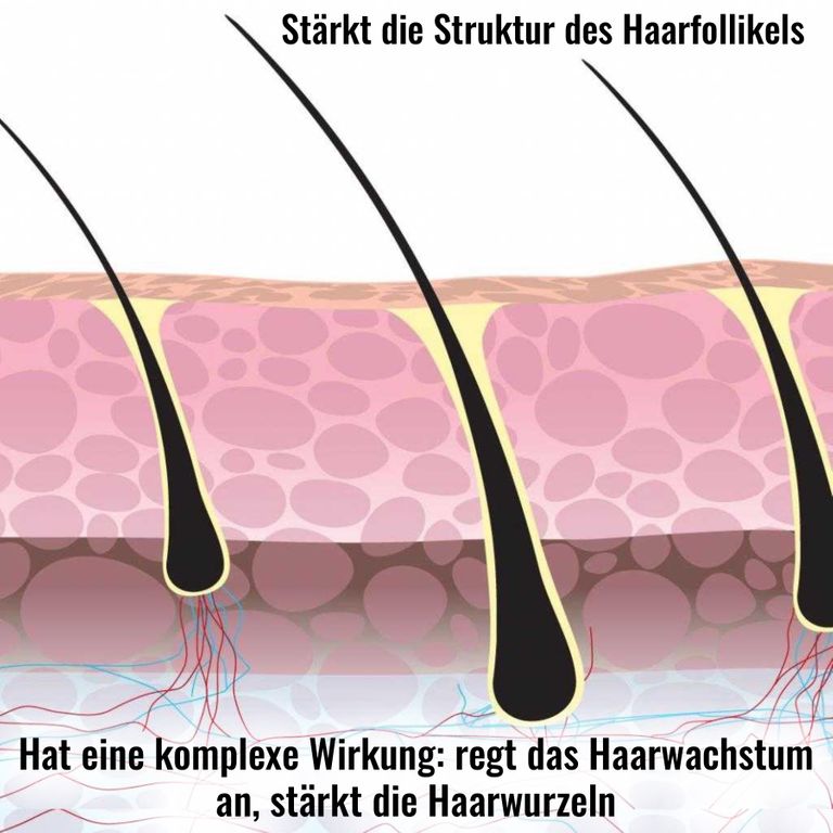 Shopapotheke ALIVER Bartöl Für Bartpflege