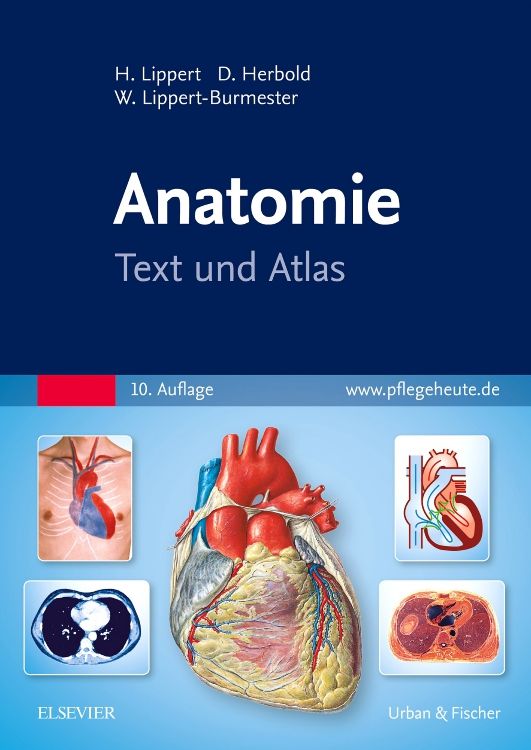 shopapotheke Anatomie
