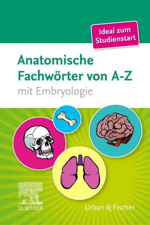 shopapotheke Anatomische Fachwörter von A-Z