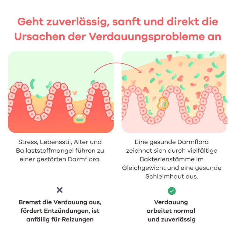 Shopapotheke Apriwell Darmkulturen-Komplex