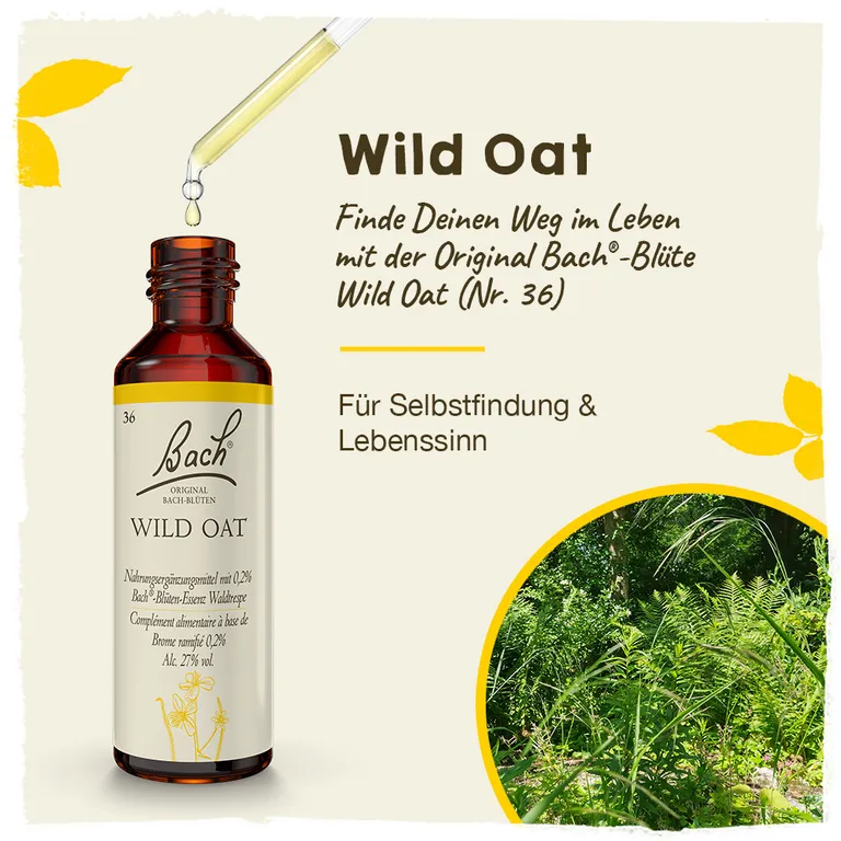 Shopapotheke BACH®-BLÜTEN Innere Stärke Set