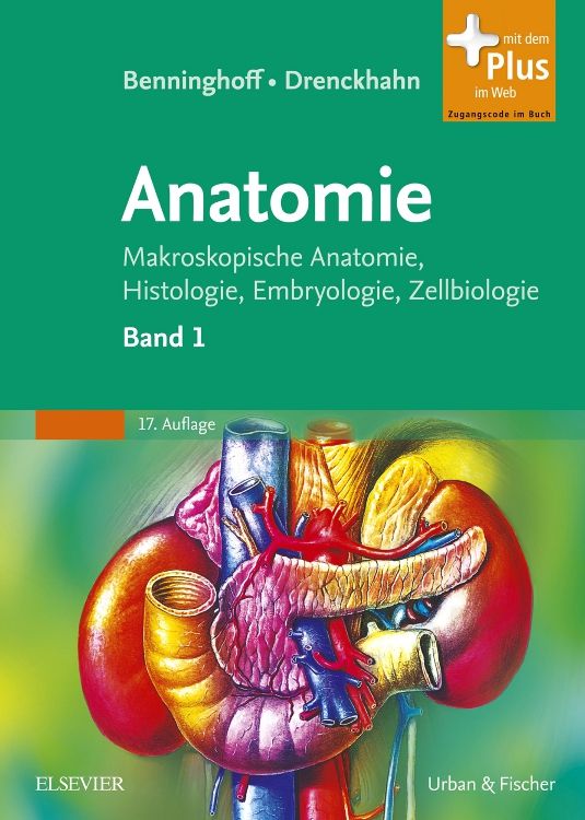 shopapotheke Benninghoff Drenckhahn Anatomie