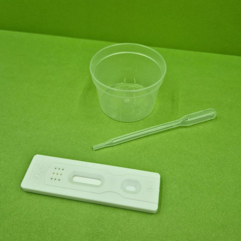 Shopapotheke BIOSYNEX Harnwegsinfektion Selbsttest