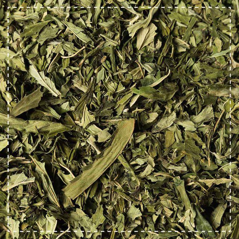 Shopapotheke Biotiva Hanftee Bio