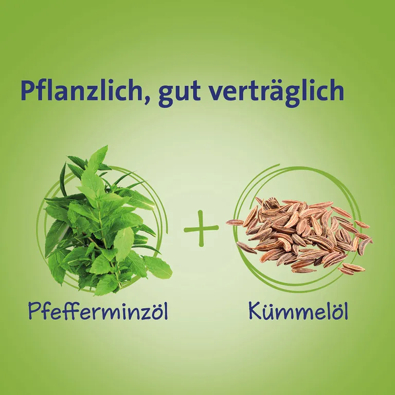 Shopapotheke Carmenthin® Bei Verdauungsstörungen