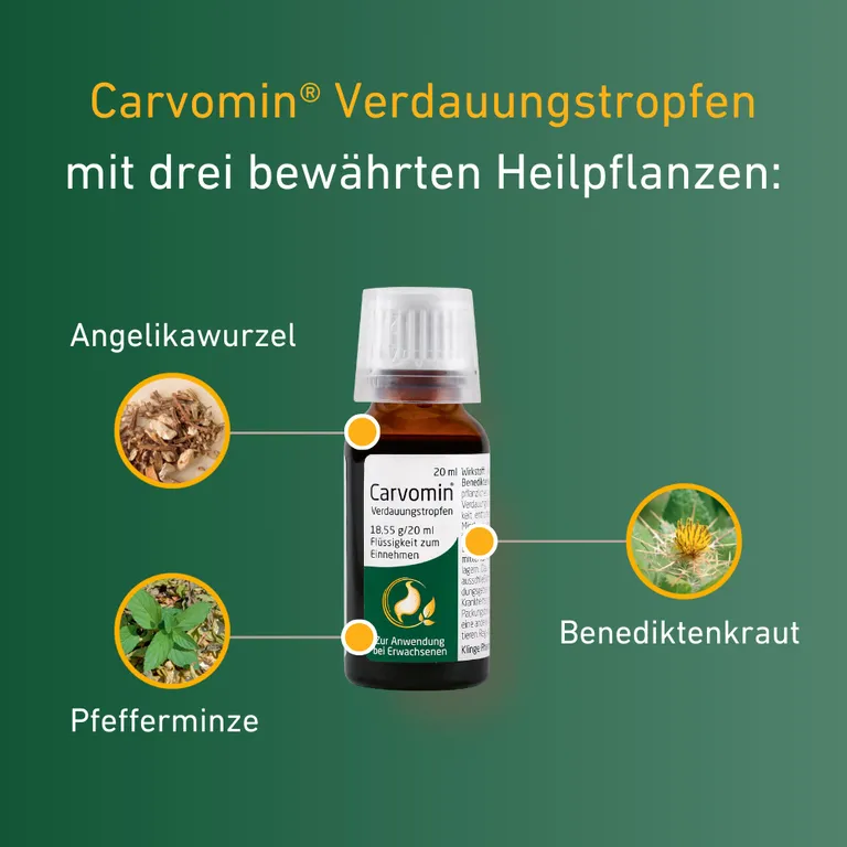 Shopapotheke Carvomin® Verdauungstropfen