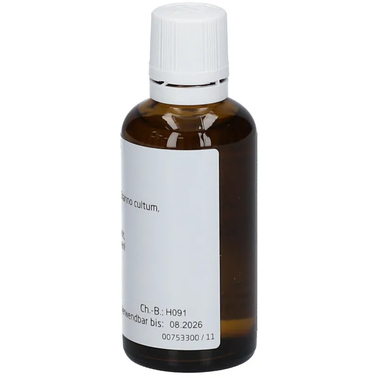 Shopapotheke Cichorium Stanno Cultum D 3 Dilution
