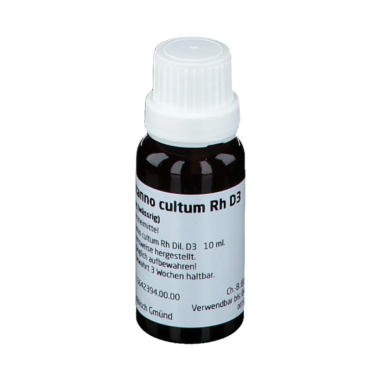 Shopapotheke Cichorium Stanno Cultum Rh D3