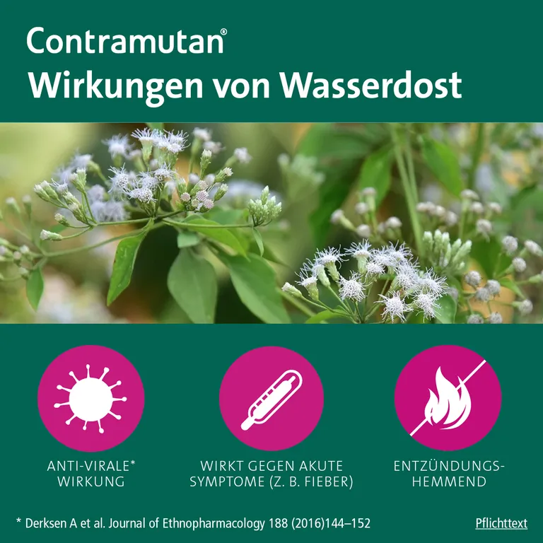 Shopapotheke Contramutan® Sirup