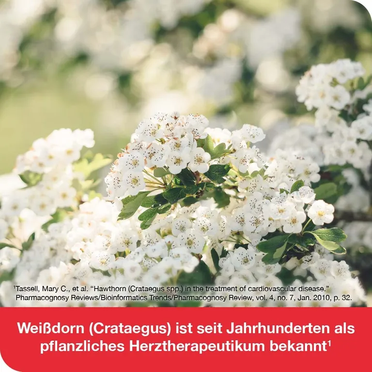 Shopapotheke Cratae-Loges® 450 Mg Weißdorn