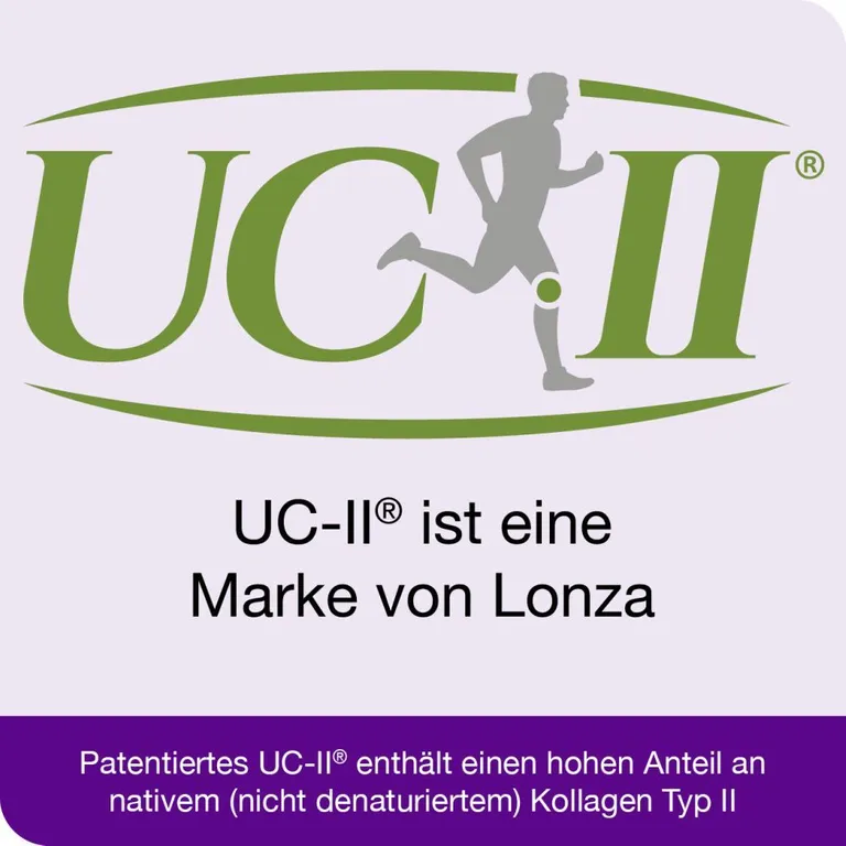 Shopapotheke Curcumin-Loges® Arthro Plus UC-II®