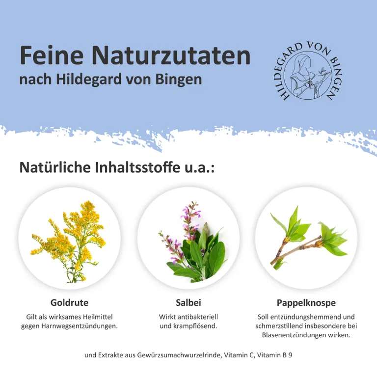 Shopapotheke Dignatio ® Blasenkraft