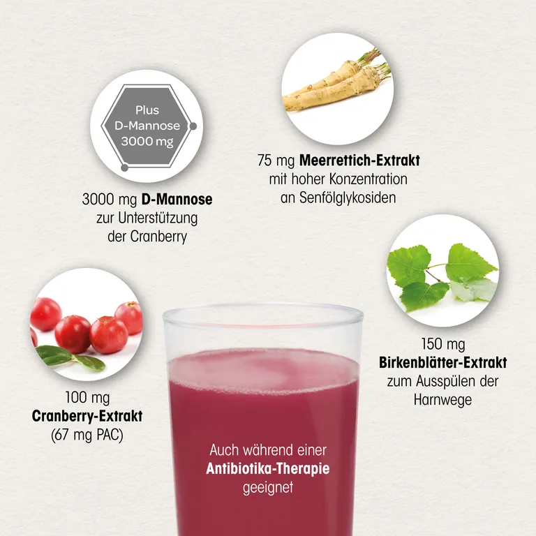 Shopapotheke Dr. Böhm® Cranberry Plus