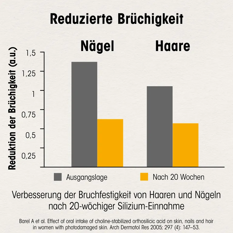 Shopapotheke Dr. Böhm® Haut Haare Nägel