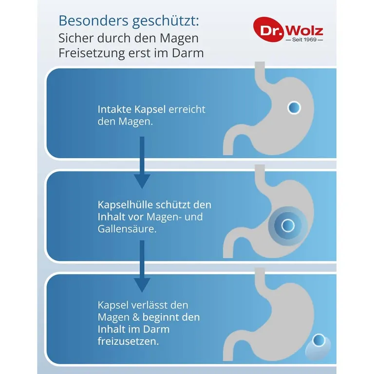 Shopapotheke Dr. Wolz Darmflora* Plus URO 40 Kapseln