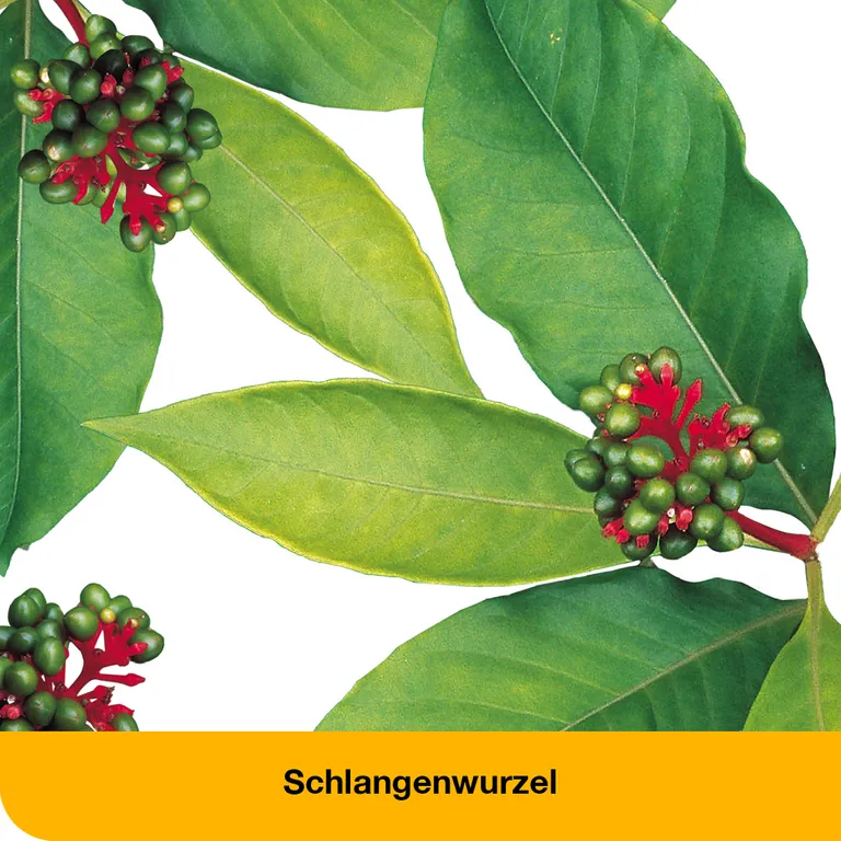 Shopapotheke DystoLoges® Tabletten