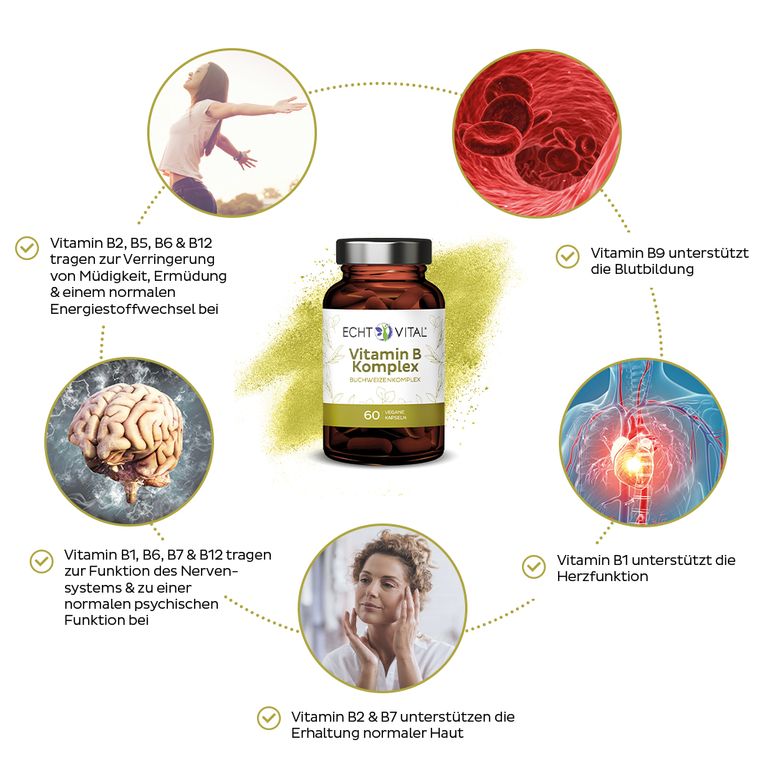 Shopapotheke Echt Vital Vitamin B Komplex