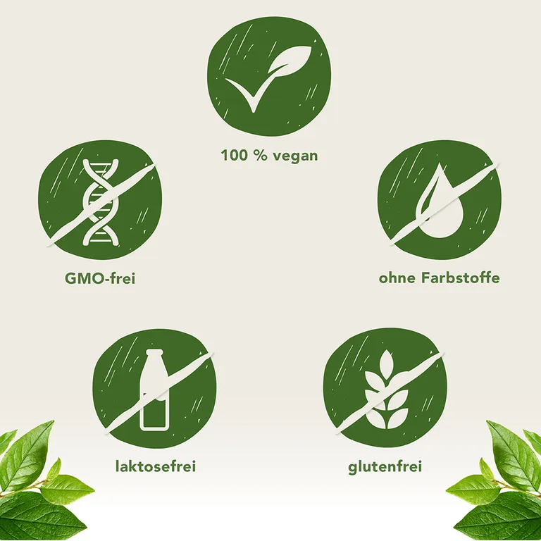 Shopapotheke Fermentura® Ginkgo Duo