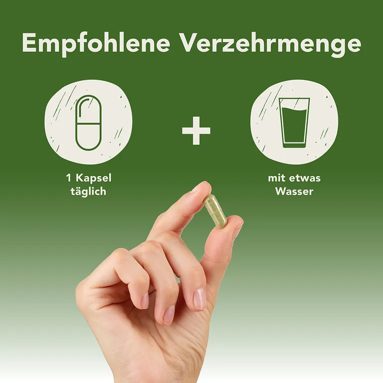 Shopapotheke Fermentura® Ginkgo Duo