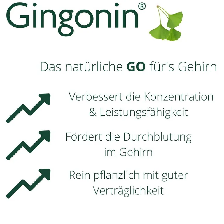 Shopapotheke Gingonin 120 Mg