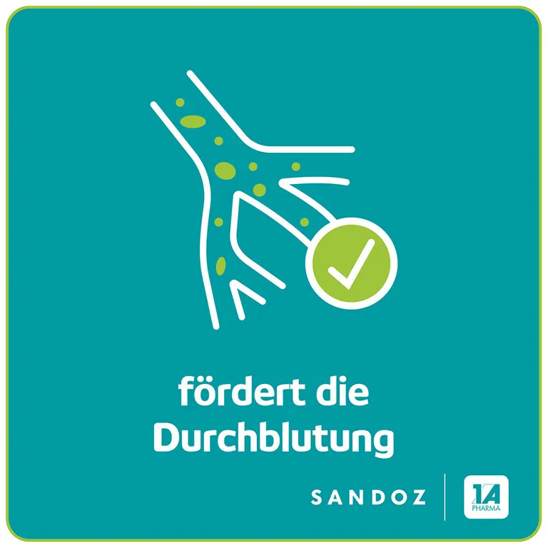 Shopapotheke Ginkgo - 1 A Pharma® 240 Mg