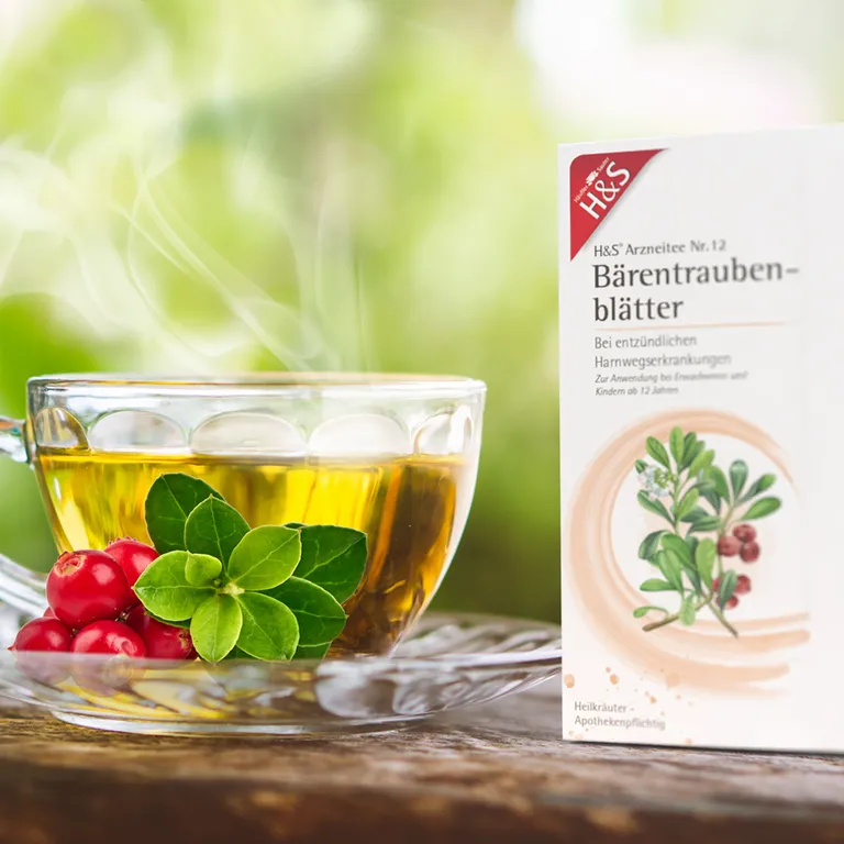 Shopapotheke H&S Bärentraubenblätter Nr. 12