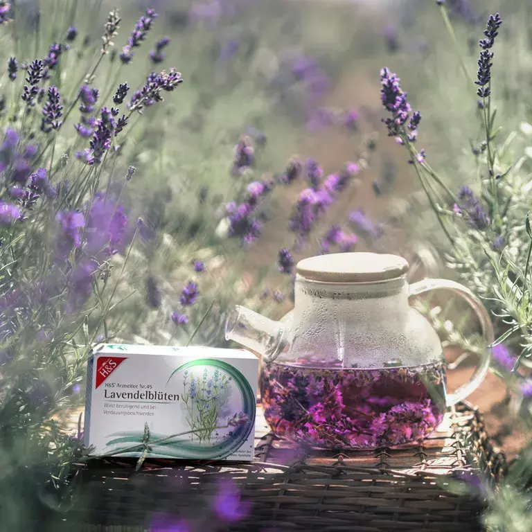 Shopapotheke H&S Lavendelblüten Nr. 45