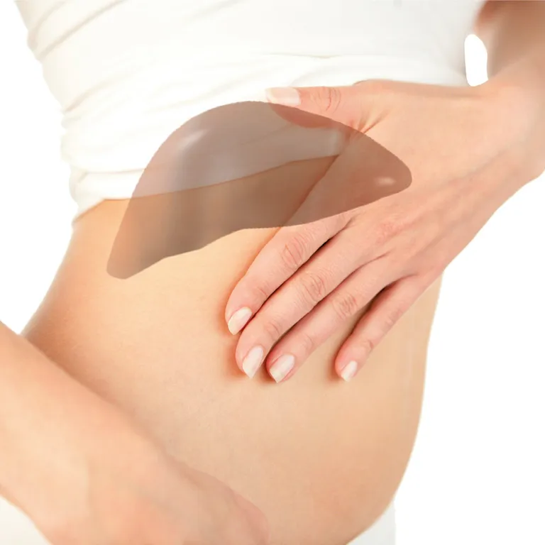 Shopapotheke Hepar Hevert Lebertabletten