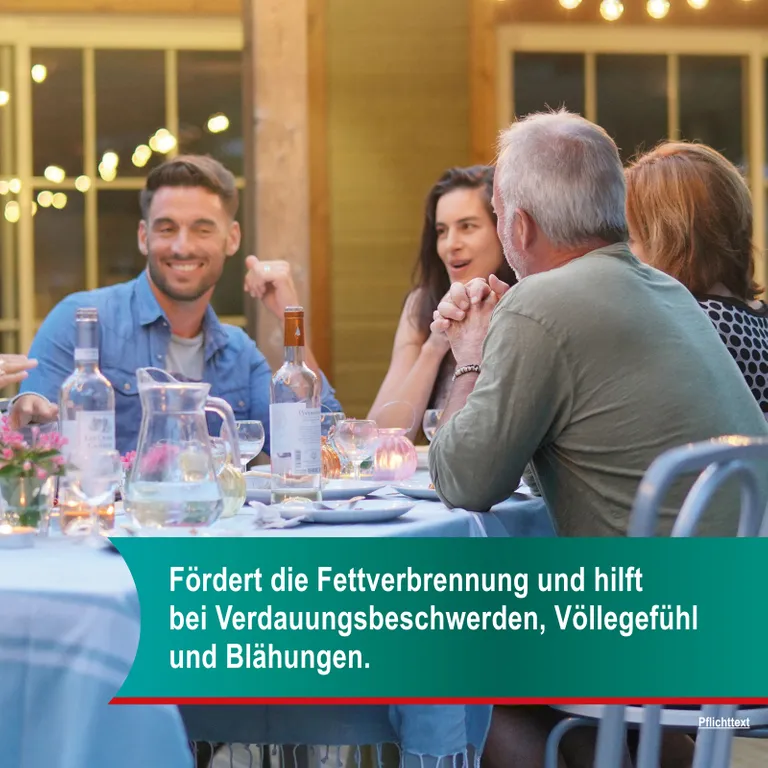 Shopapotheke Hepar-SL® 320 Mg