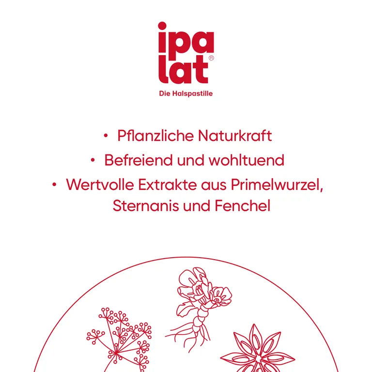 Shopapotheke Ipalat® Halspastillen Zuckerfrei