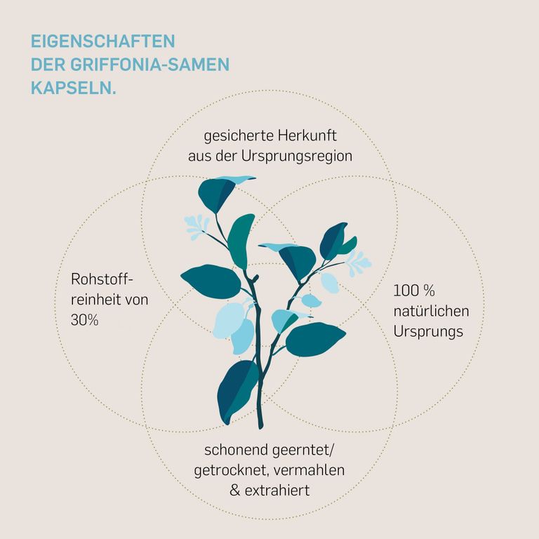 Shopapotheke Kurkraft© 5-HTP Aus Griffonia