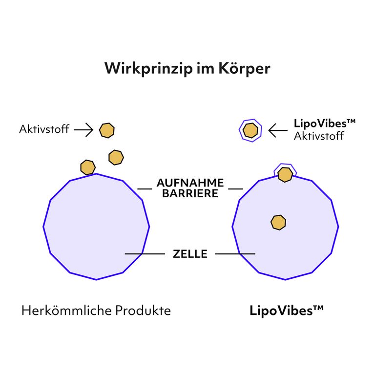 Shopapotheke LipoVibes CBG
