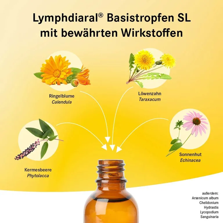 Shopapotheke Lymphdiaral® Basistropfen SL