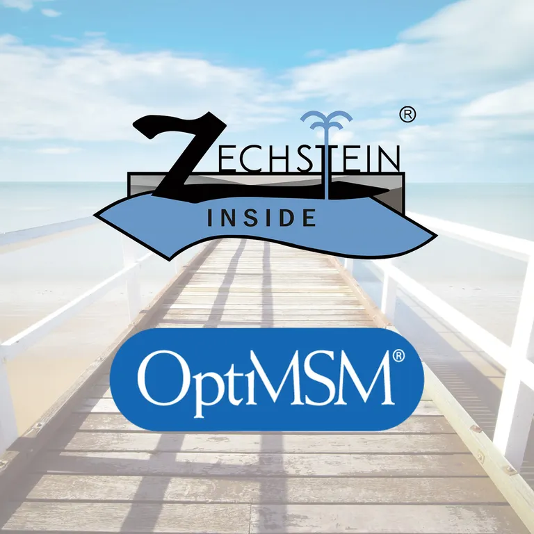 Shopapotheke Magnesiumöl + MSM Vitalspray