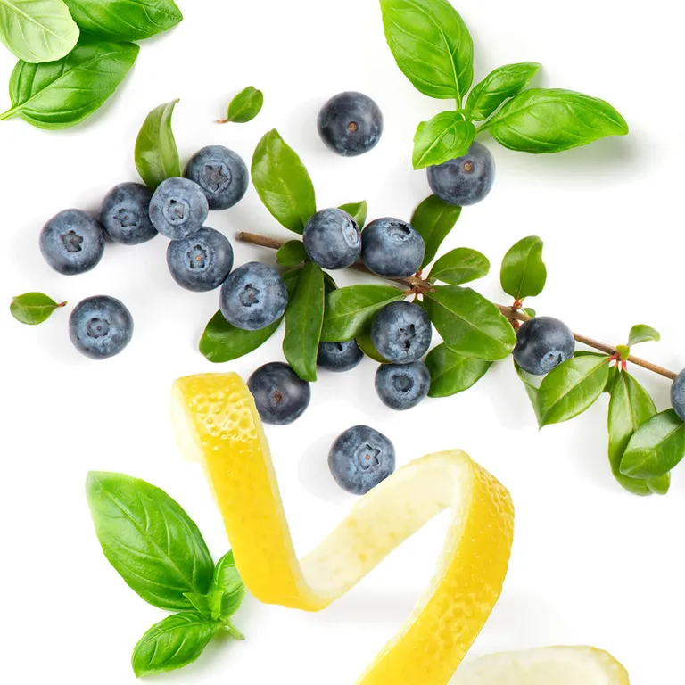 Shopapotheke Phyto Vitamins Augen Complex