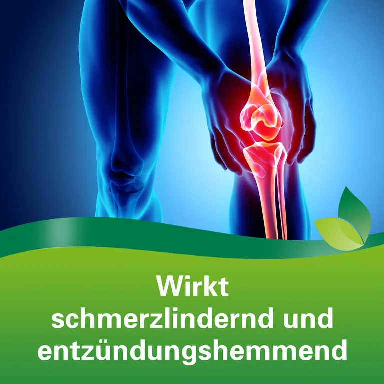 Shopapotheke Phytodolor® Tinktur