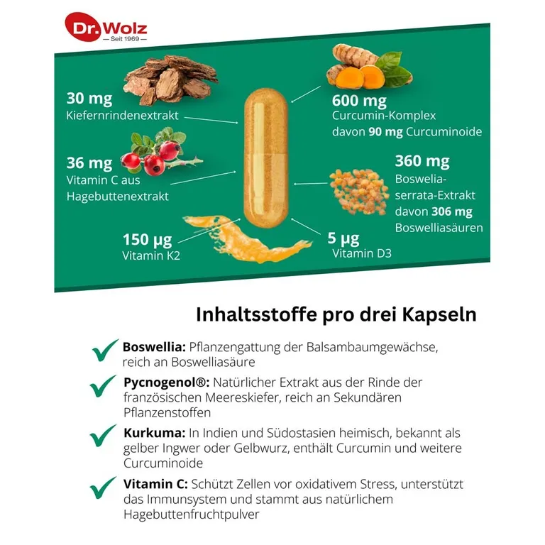 Shopapotheke Phytoflam Dr. Wolz®