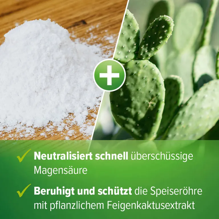 Shopapotheke Refluthin® Bei Sodbrennen Minze