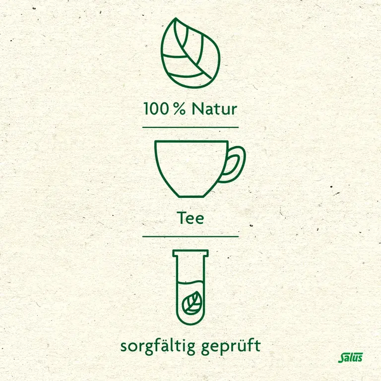 Shopapotheke Salus® Harnsäurelöser-Tee