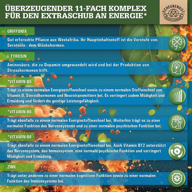 Shopapotheke Scheunengut® ENERGIESCHUB
