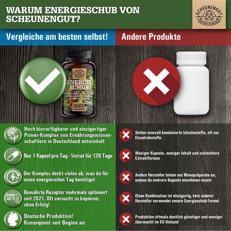 Shopapotheke Scheunengut® ENERGIESCHUB