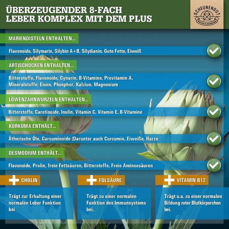 Shopapotheke Scheunengut® LEBER INTENSO+