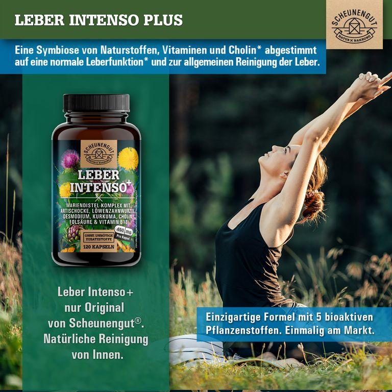 Shopapotheke Scheunengut® LEBER INTENSO+