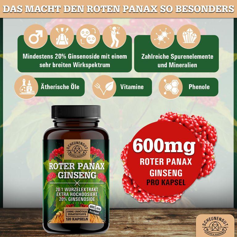 Shopapotheke Scheunengut® Roter Panax Ginseng