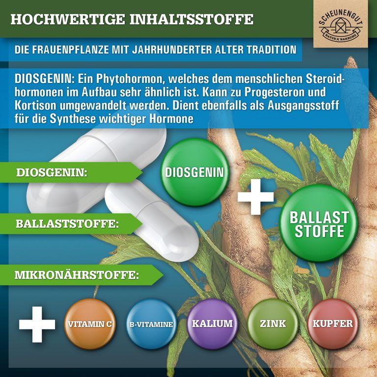 Shopapotheke Scheunengut® Yamswurzel Extrakt