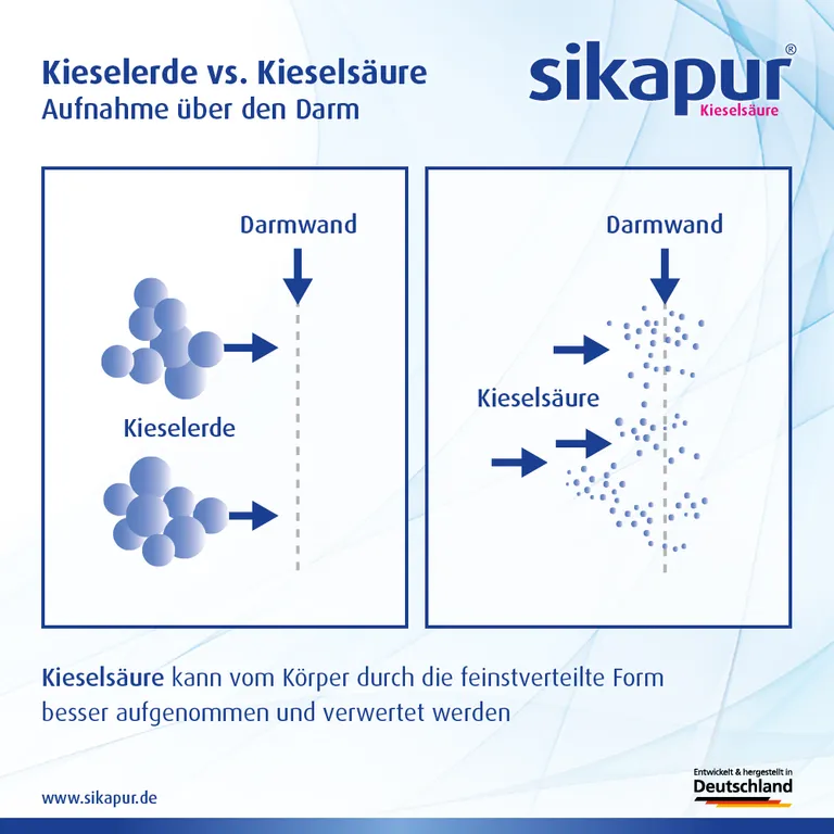 Shopapotheke Sikapur® Kieselsäure Softgel-Kapseln